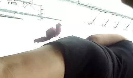 Una giovane ragazza con vecchie porche porno tette fresche.